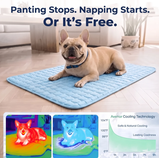 CoolNest™ -Self-Cooling Dog Mat 3.0