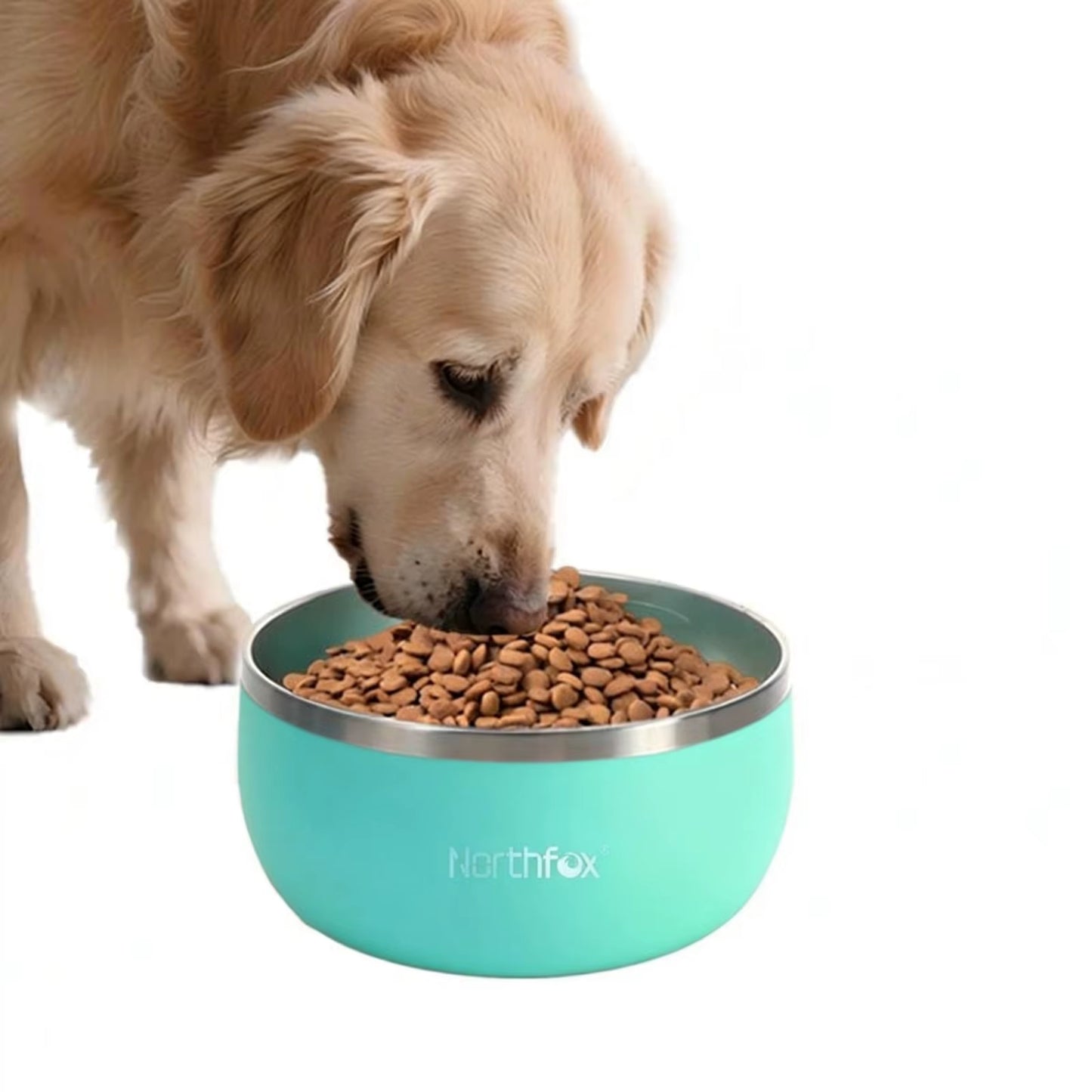 32Oz64Oz Dog Bowl for Food and Water Stainless Steel Pet Feeding Bowl Durable Non-Skid Doubl Wall Insulated Multi-Color Dog Bowl